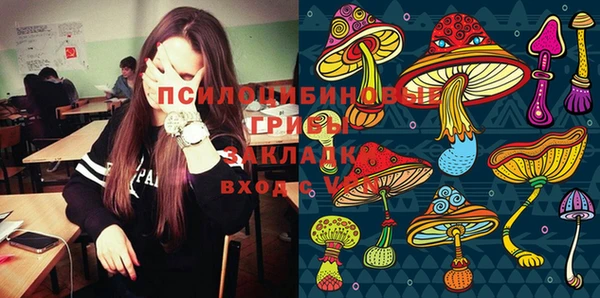 дурь Абинск