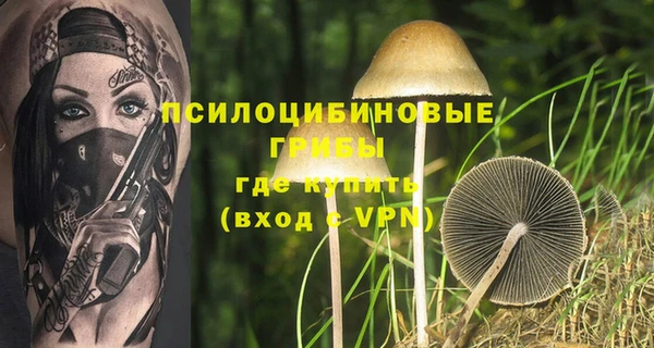 гидропоника Нягань