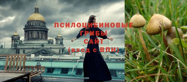 дурь Абинск