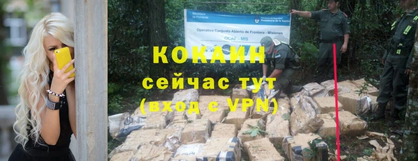 тгк Абаза