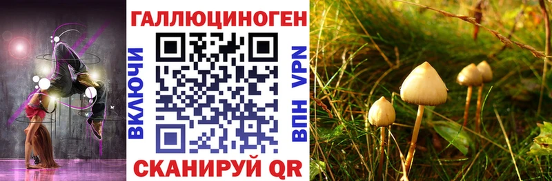 Псилоцибиновые грибы Cubensis купить Братск